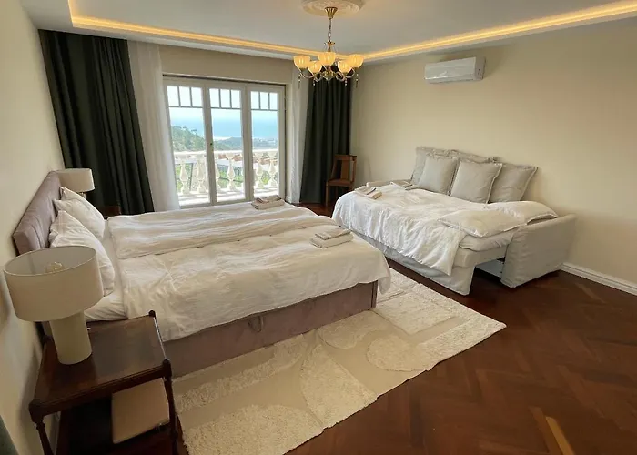 ヴィラ Casa Rosas